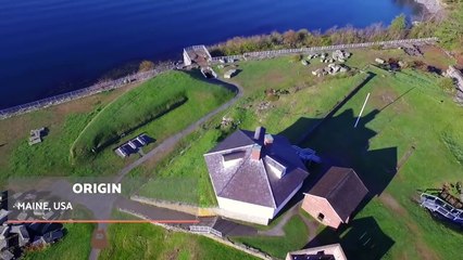 MAINE COON – Characteristics, Character and Care