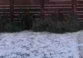 Oakland Battered by Snow-Like Hail Storm