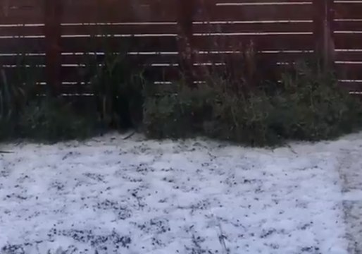 Oakland Battered by Snow-Like Hail Storm