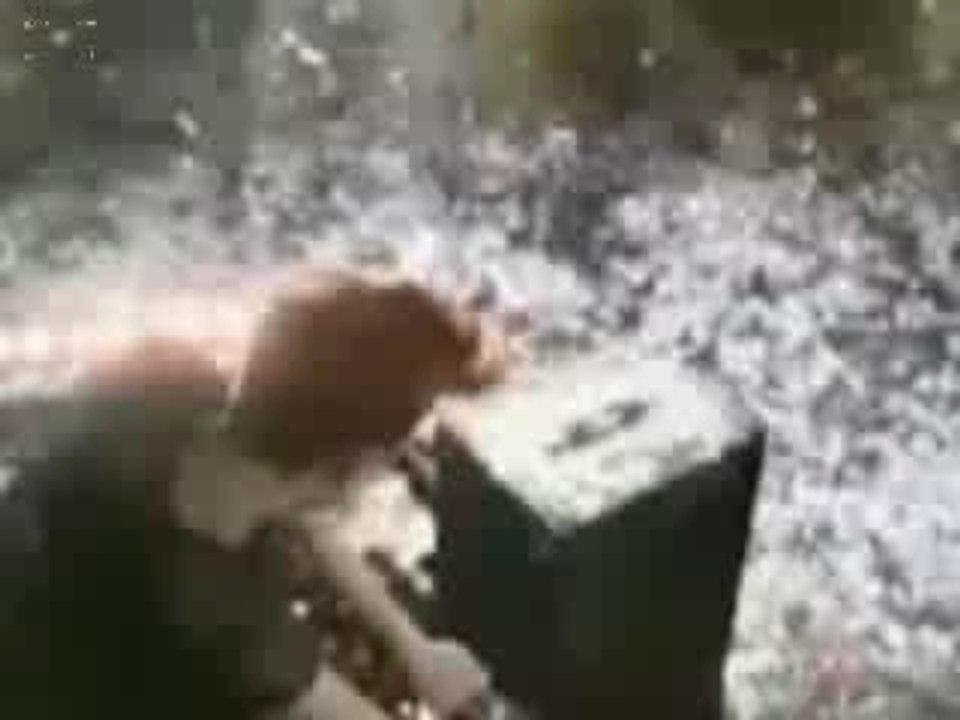 KYLIE MINOGUE(NEW)+ FREAKADELIKA+DANNII MINOGUE(VMIX DJ GEE)