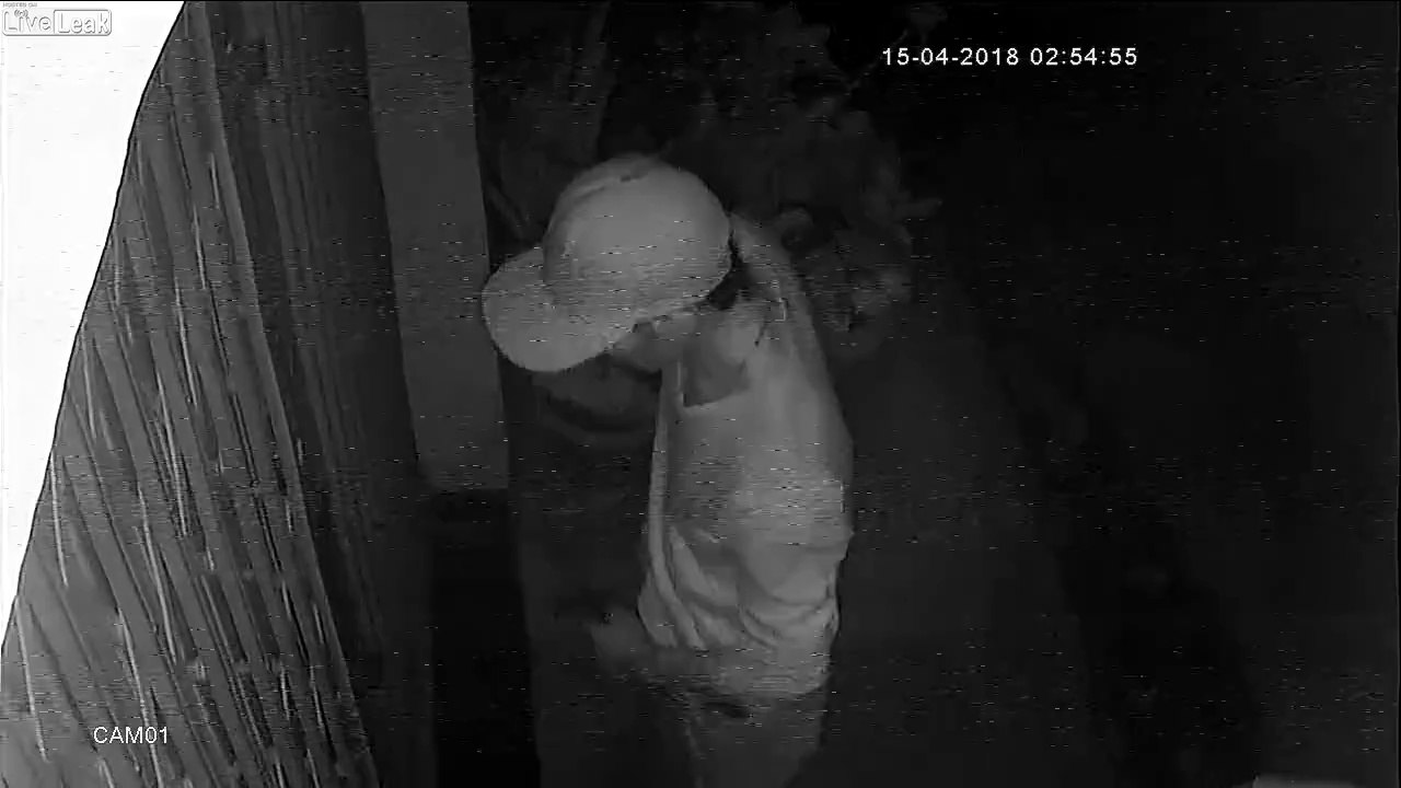 Malins, ces voleurs sont coincés dehors et n'arrivent pas à rentrer dans le magasin !