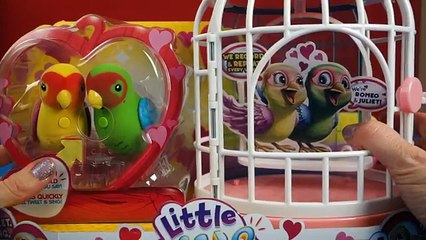 Live Little Pets- My Love Birds Romeo and Juliet