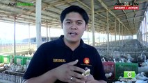 Pekin Ducks Farming : Pekin duck Ducklings Supplement | Agribusiness Philippines