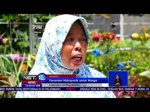 Papanggo, Kampung Warna Warni yang Asri dan Cantik - NET 12