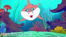 Head Shoulders Knees and Toes Song |   Baby Shark Parody |   More Kids Songs | Fun For Kids TV