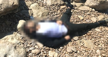 Van Gölü Sahilinde Vatandaşlar Başından Vurulmuş Erkek Cesedi Buldu