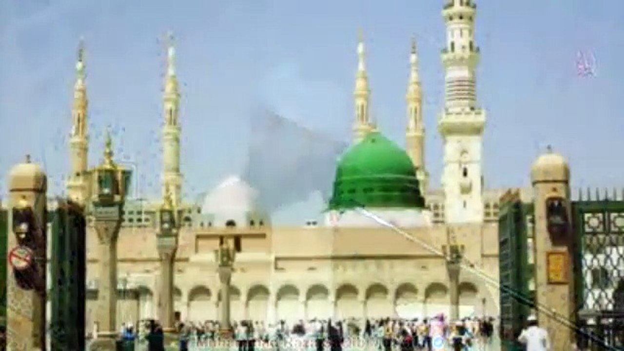 Muhammad Raza Saqib Mustafai (247)