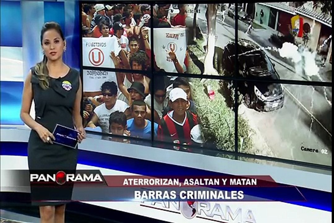 Hinchadas del terror: barras bravas aterrorizan, asaltan y matan