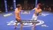 UFC 132 Urijah Faber