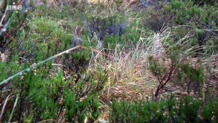 Dhan Uisge.s01e01.River Douchary