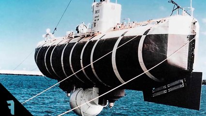 Mariana Çukurunun En Dibinde Ne Yaşıyor