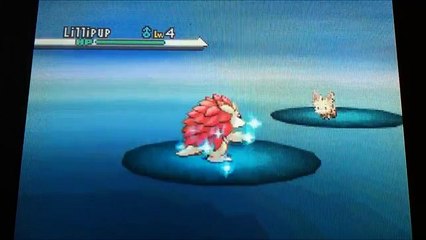 (500 Sub Special!) LIVE!!! Shiny Eevee after 1250 SRs!