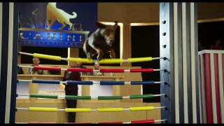Show Dogs - Official Trailer [HD]  - Global Road Entertainment
