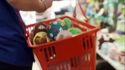 Petshop&#39;tan hayvan satın almanın karanlık bir tarafı vardır!