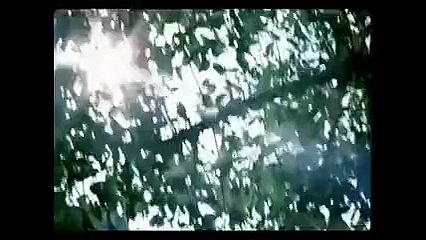 Sokak hayvanlarına bir de bu gözle bakın!