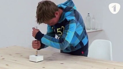 Bir deney: Ezberci eğitim maymun zekasına karşı