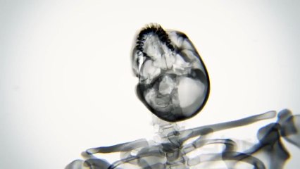 Yoga yaparken kemikleriniz nasıl görünüyor?