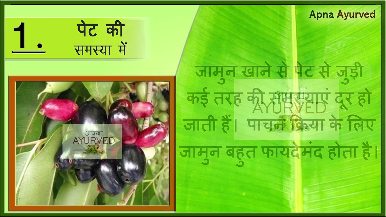 जामुन एक स्वादिस्ट औसधि || Amazing Health Benefits of Jambul || Jamun Khane ke Fayde || Apna Ayurved