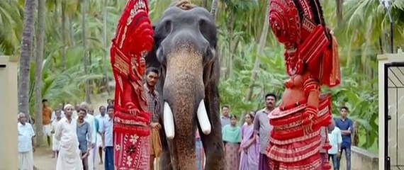 Aana Alaralodalaral (2017) Malayalam DTHRip x264 Movie Part 1