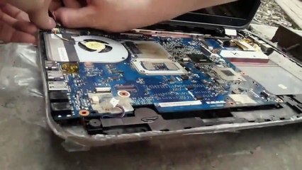 Sökülen laptop&#39;un içinden hamam böceği kolonisi çıktı!