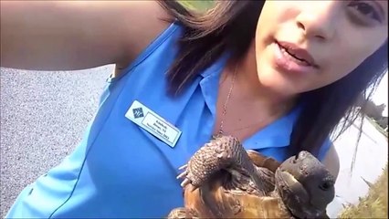 Kaplumbağayı suya atarak kurtardığını sanıyordu, ama...