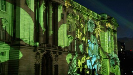 Buckingham Palace transformed by rainforest projection