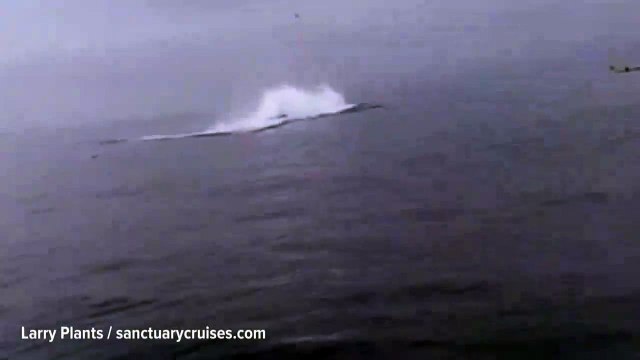 Kaliforniyalı çift ölümle burun buruna geldi