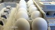 Over 200 million eggs recalled in salmonella scare