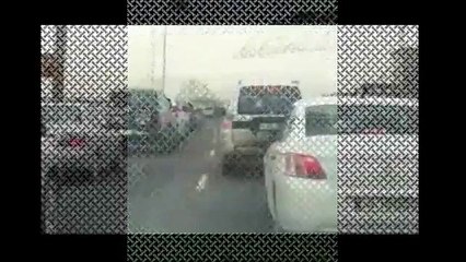 Otoyolda araçların arasına dalan kaplan paniğe yol açtı