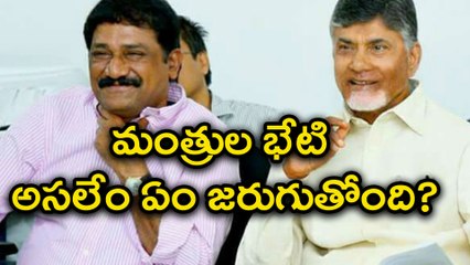 మంత్రి గంటా శ్రీనివాసరావుతో మాజీ మంత్రి దాడి వీరభద్రరావు భేటీ