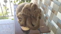 Stylish and Easy Juda Hairstyle, Bridal Bun hair style. Juda Hairstyle in short and long hairstyles. Learn step by step how to make Bun