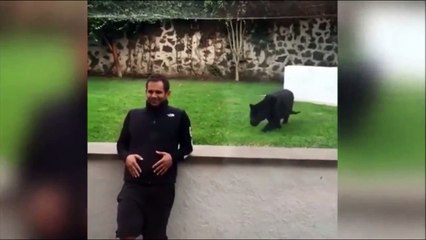 Hayvanat bahçesinde kafese giren adama panter saldırdı