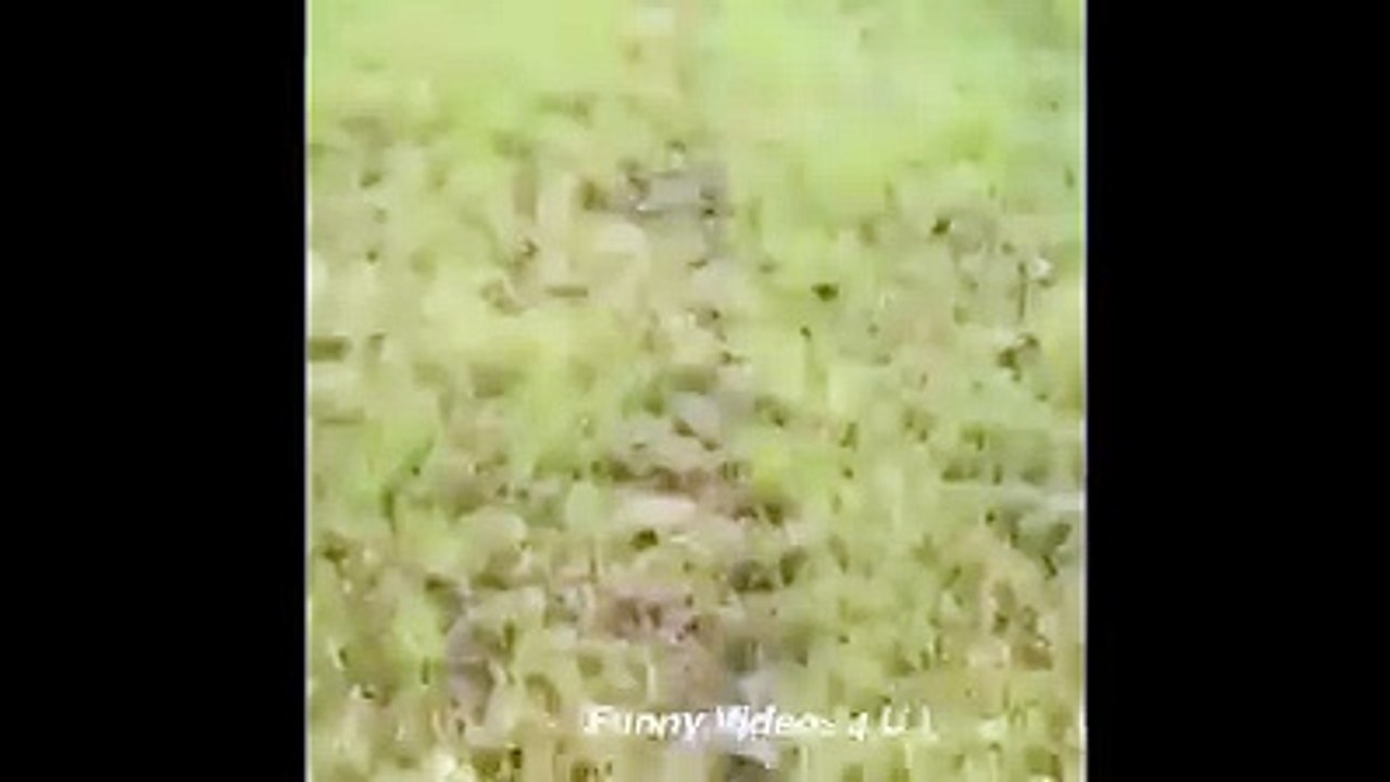 My first motor riding lesson didn't go down well