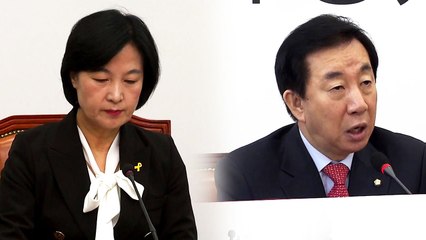 與 "진상 규명 먼저"...野 "안전 체계 문제" / YTN