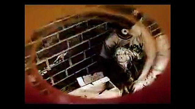 Zülfü Livaneli - Neylersin