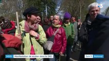 Notre-Dame-des-Landes : paisible manifestation dans la ZAD entre deux affrontements