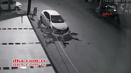 Köpeklerin tepkisi intikam mı?