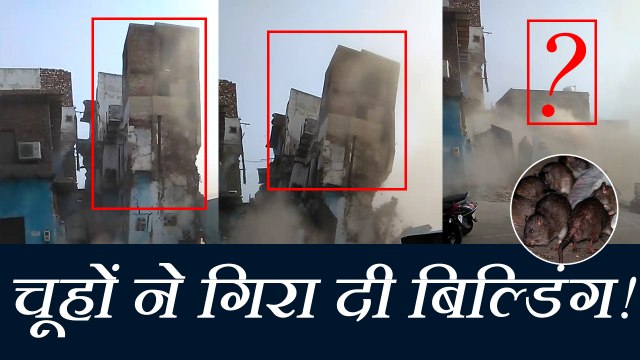 आगरा में पलक झपकते गिर गई बिल्डिंग, चूहों ने खोखली कर दी थी नींव