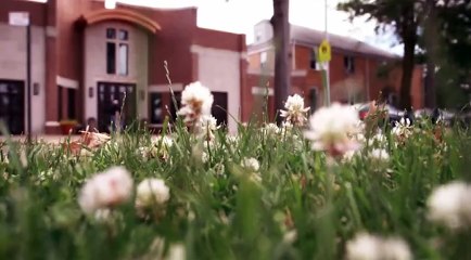 Mapplethorpe Look At The Pictures 2016       Part 01