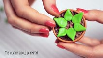 DIY: Succulent & Cus Plants | Cute & Happy Home Decor Ideas