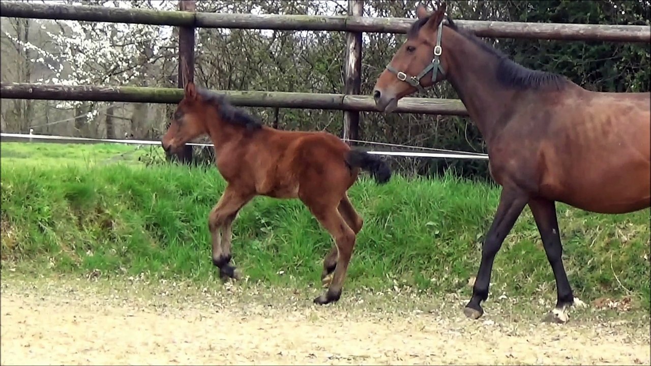 illix des Edènes 1 mois et 10j