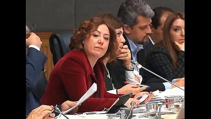 Anayasa Komisyonu’nda ‘tuzlu fıstık’ arası