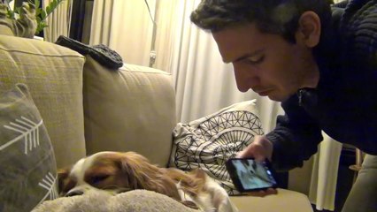 Köpeğinin horlama sesini kaydedip, ona dinletti