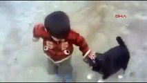Klişe gerçek oldu: Köpek çocuğu, çocuk da köpeği ısırdı!