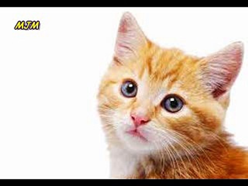 Mon pere m'a donne un petit chat --- Chansons enfantines