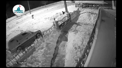 Tokat’ta aç kalan kurt şehre indi, köpeği sürükleyerek götürdü