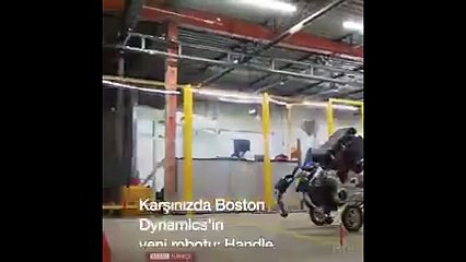 Google 'her engeli aşabilen' yeni robotunu tanıttı