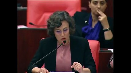 Mehmet Fatih Traş, Meclis gündeminde