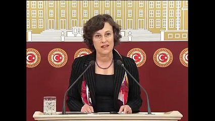 HDP&#39;li Kerestecioğlu: Avrupa&#39;da reddedilen Türkiye değil, AKP&#39;dir!