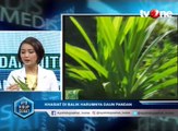 Mitos dan Fakta Daun Pandan